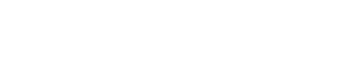 Logo Leapmotor