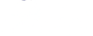 Logo ford-lons-le-saunier