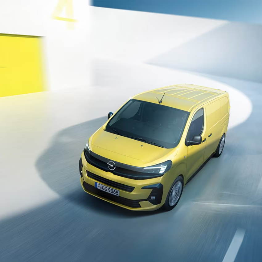 Vivaro