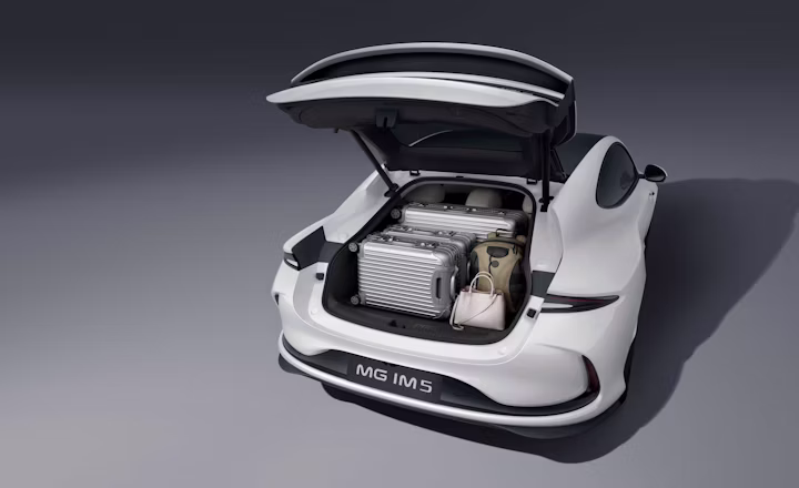 Amplitude-Auto-MG-EHS-Hybrid