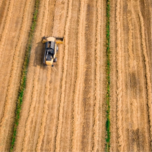 BPM Agri - Qui sommes nous ?