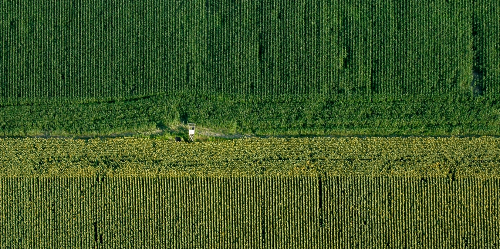 Concessionnaire de matériels agricoles 