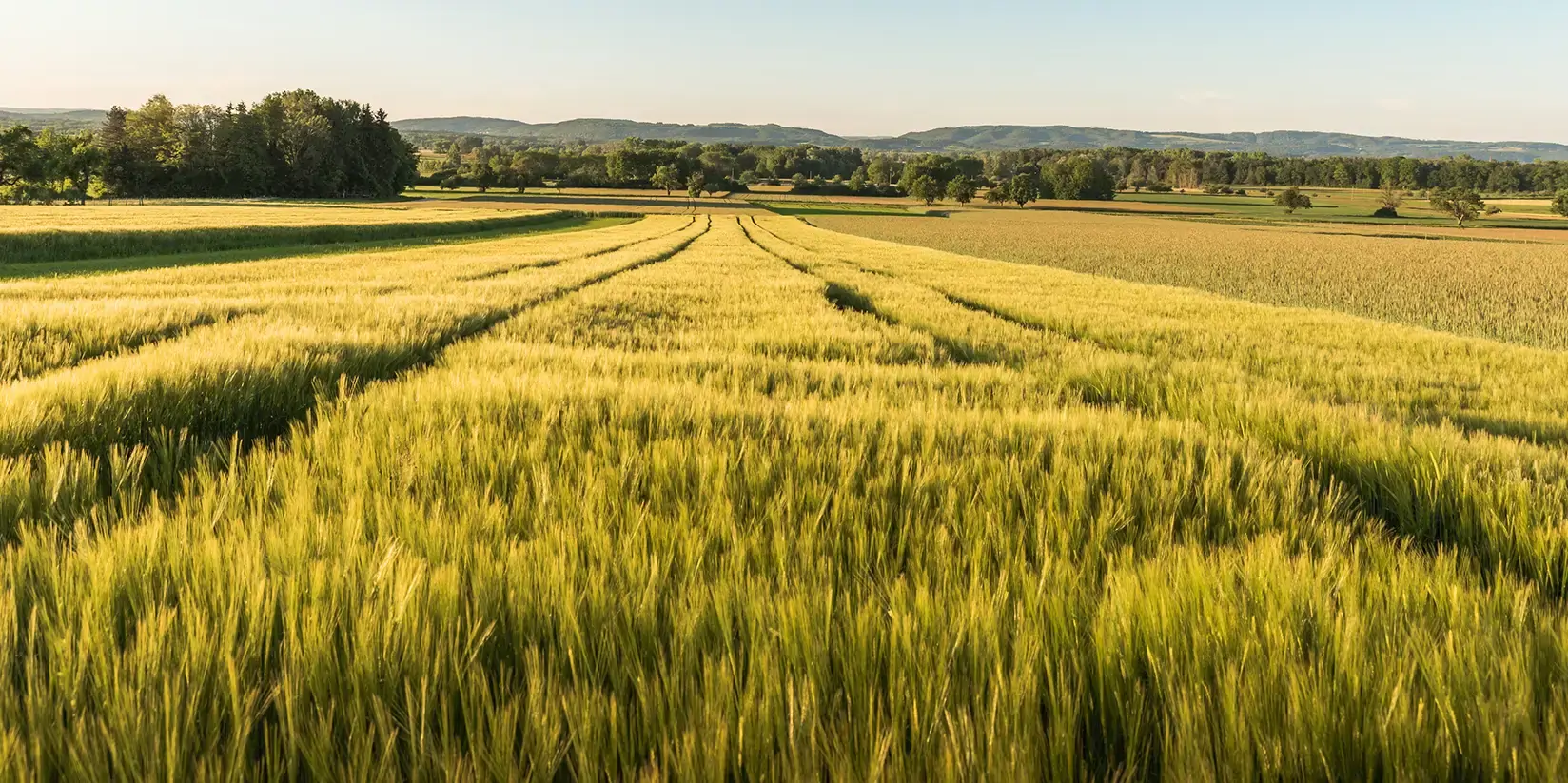 Concessionnaire de matériels agricoles 