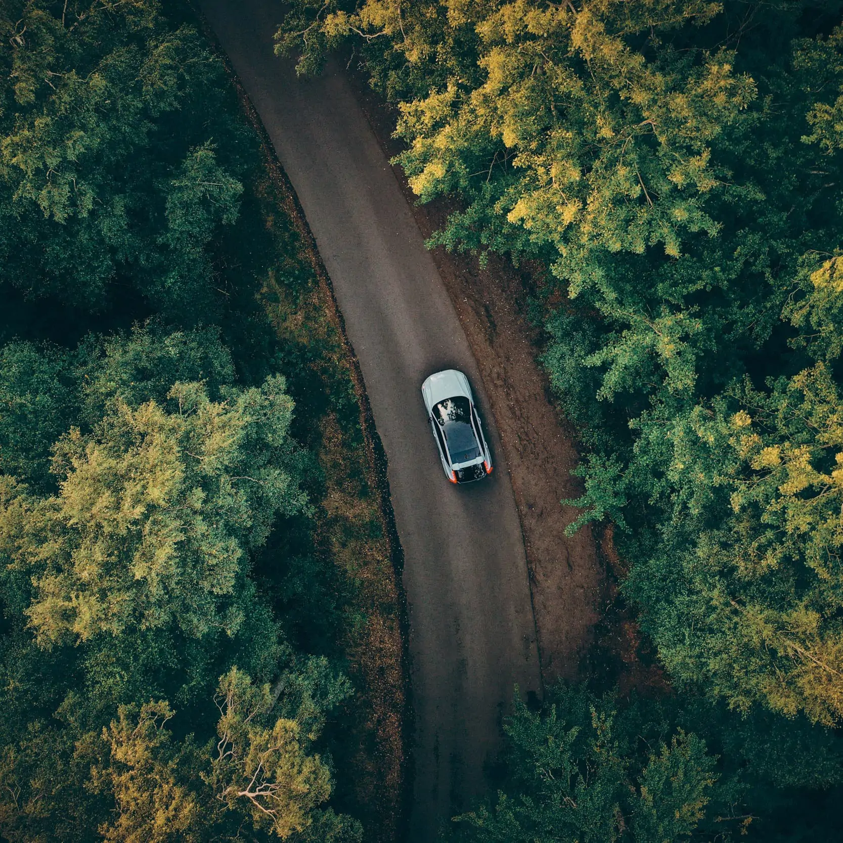 La Mobilité V+