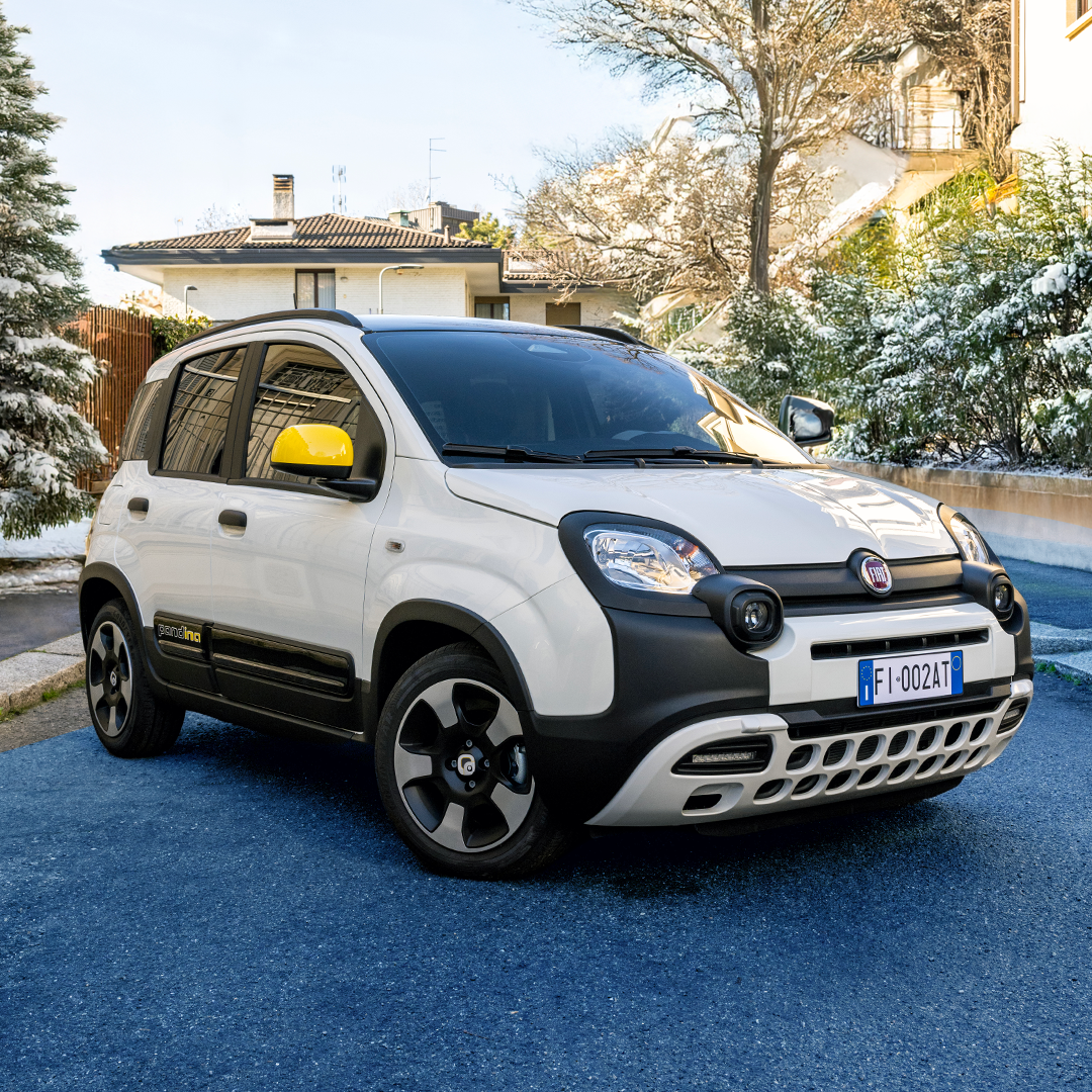 Fiat Pandina