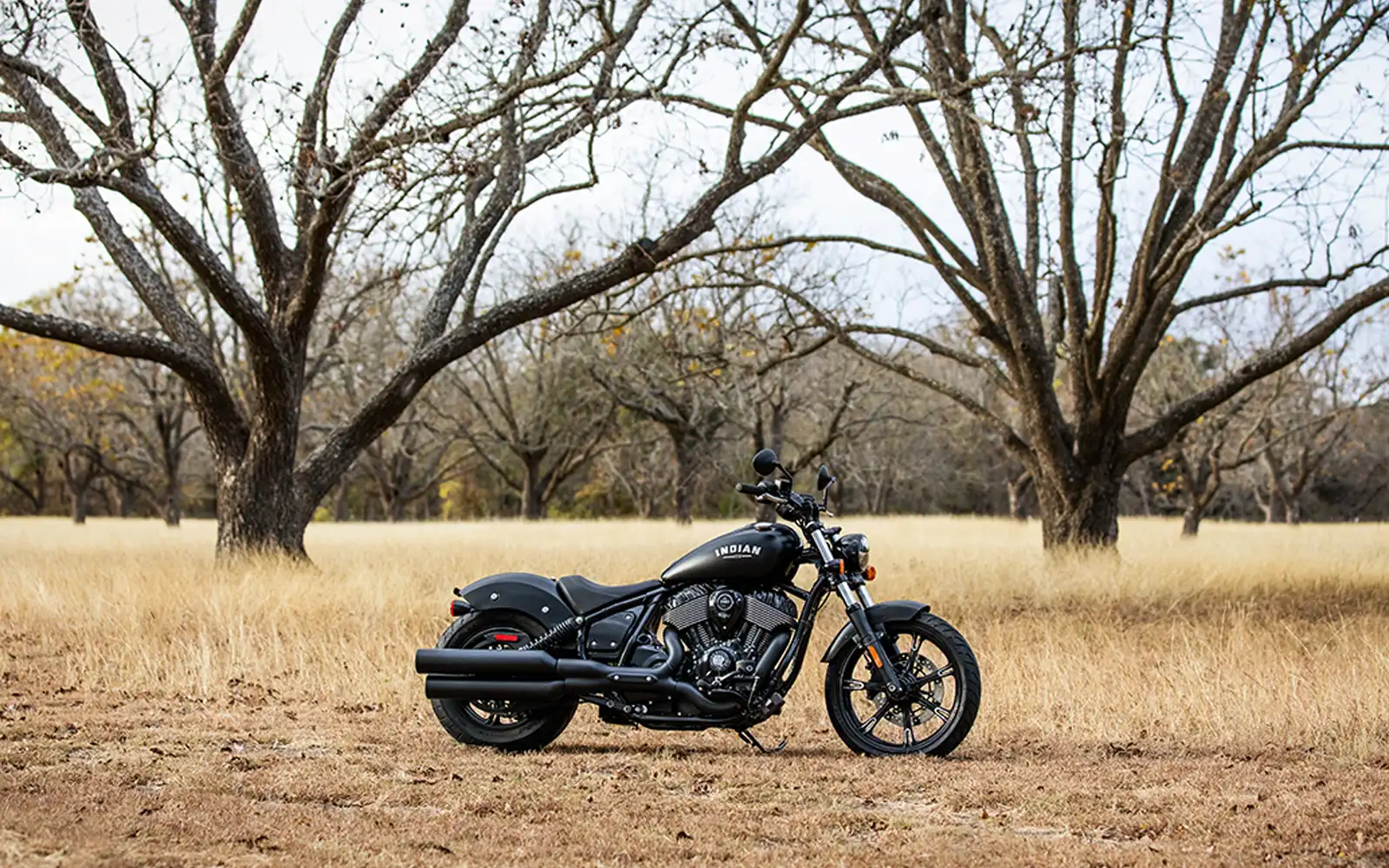 BPM Moto - Indian Cruiser Chief Dark Horse image