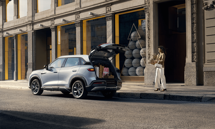BYD Atto 2