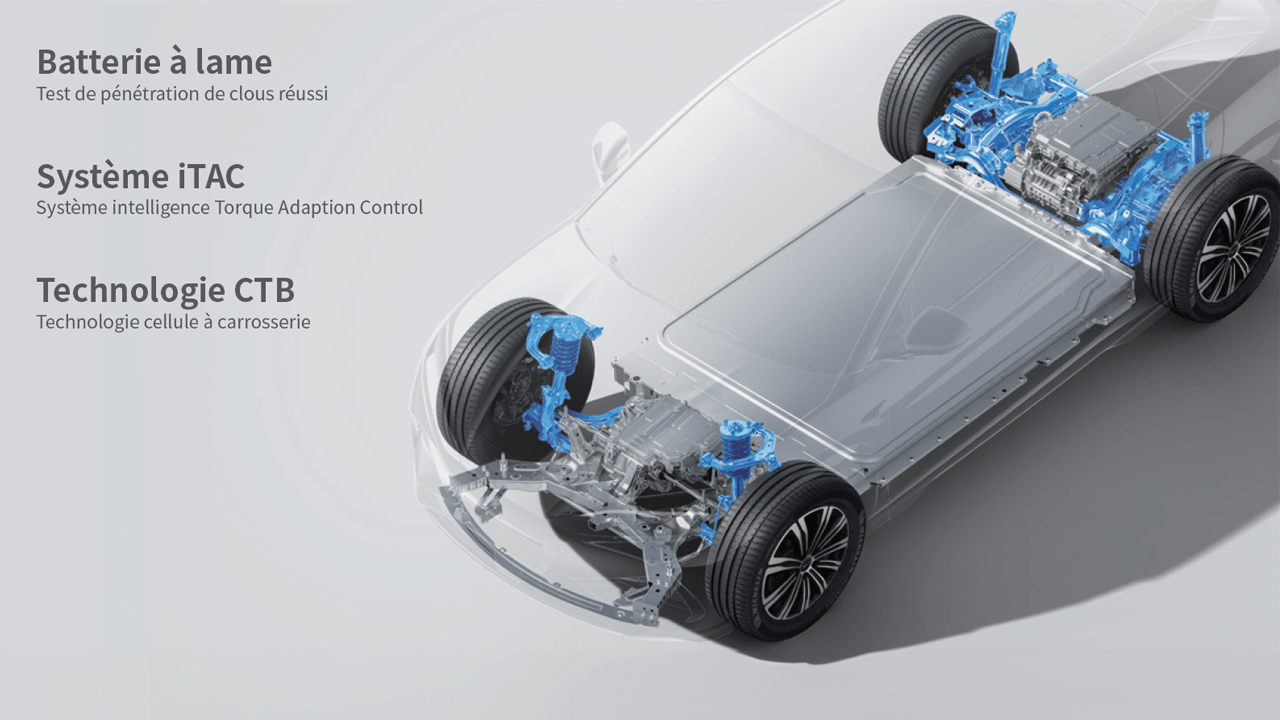 e-Platform BYD