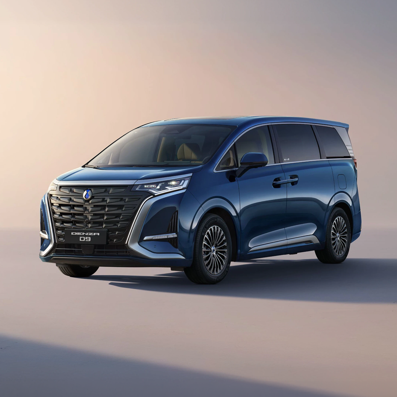 Denza D9