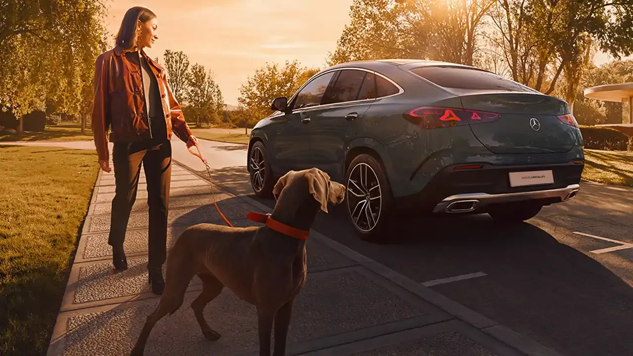 Vue arriere du GLE Coupé 2026 avec un chien