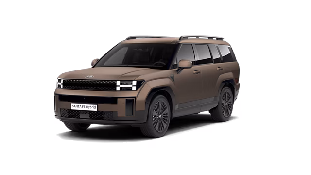 Santa Fe Hybrid Vue Profil passager