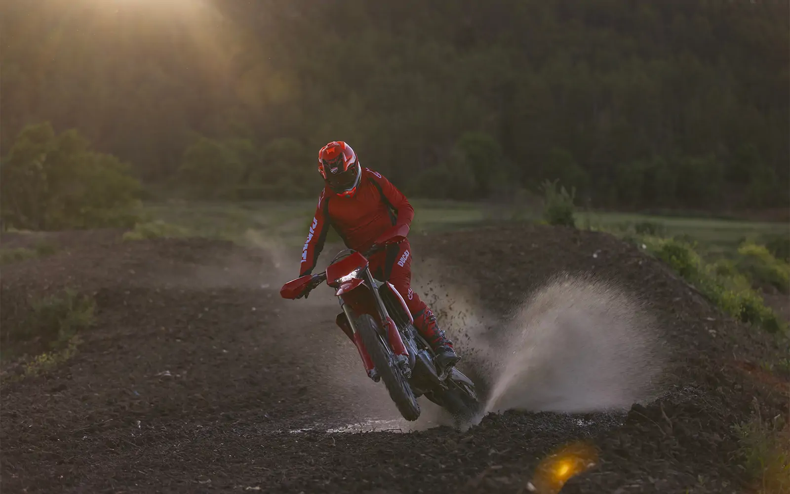 Desmo450 EDS