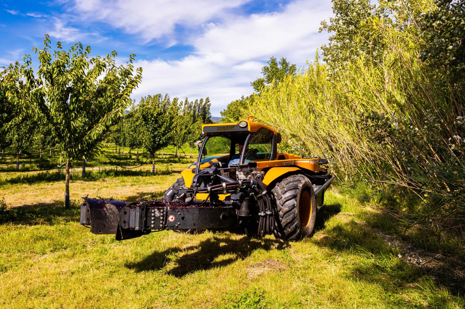 Banniere Vibreur automoteur oléicole Buggy 5000S   