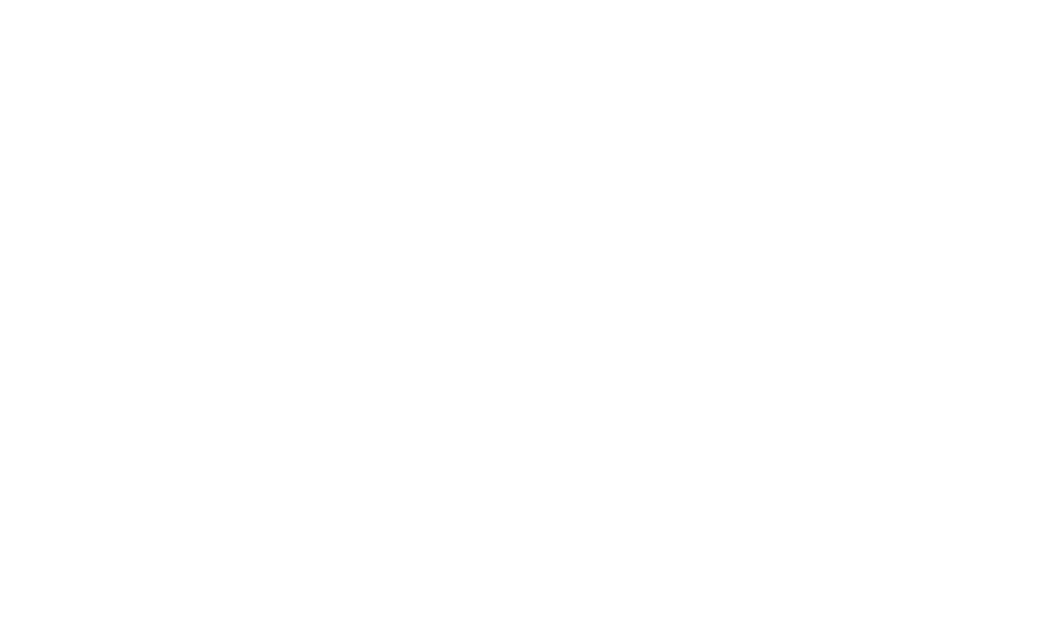 Groupe chevalley - Logo Hyundai