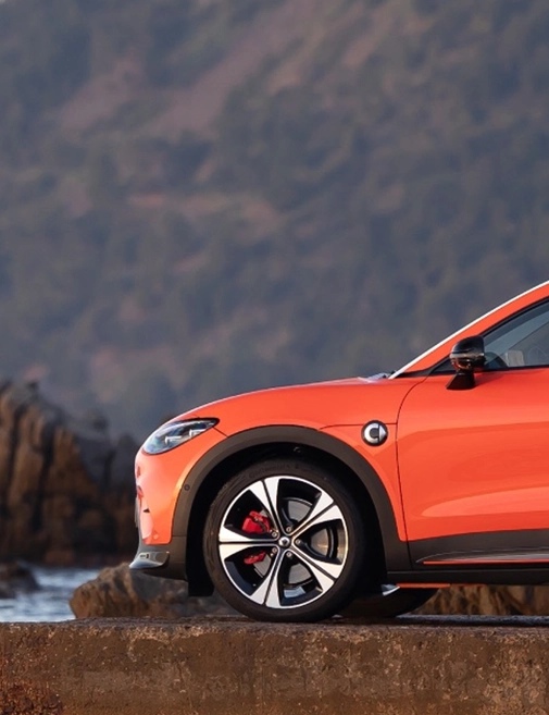 Groupe Chevalley - Marque Smart