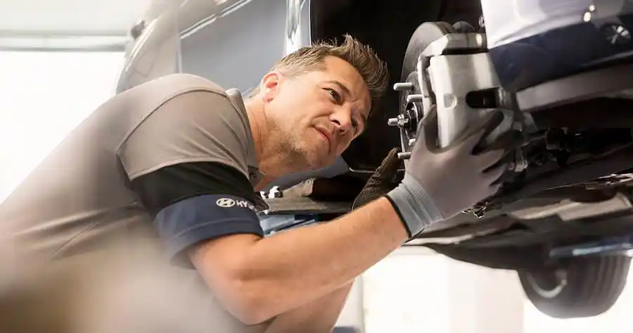 Check-up saisonnier hiver / été groupe chevalley