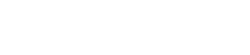 Logo polestar