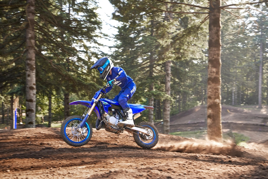2025 YZ65