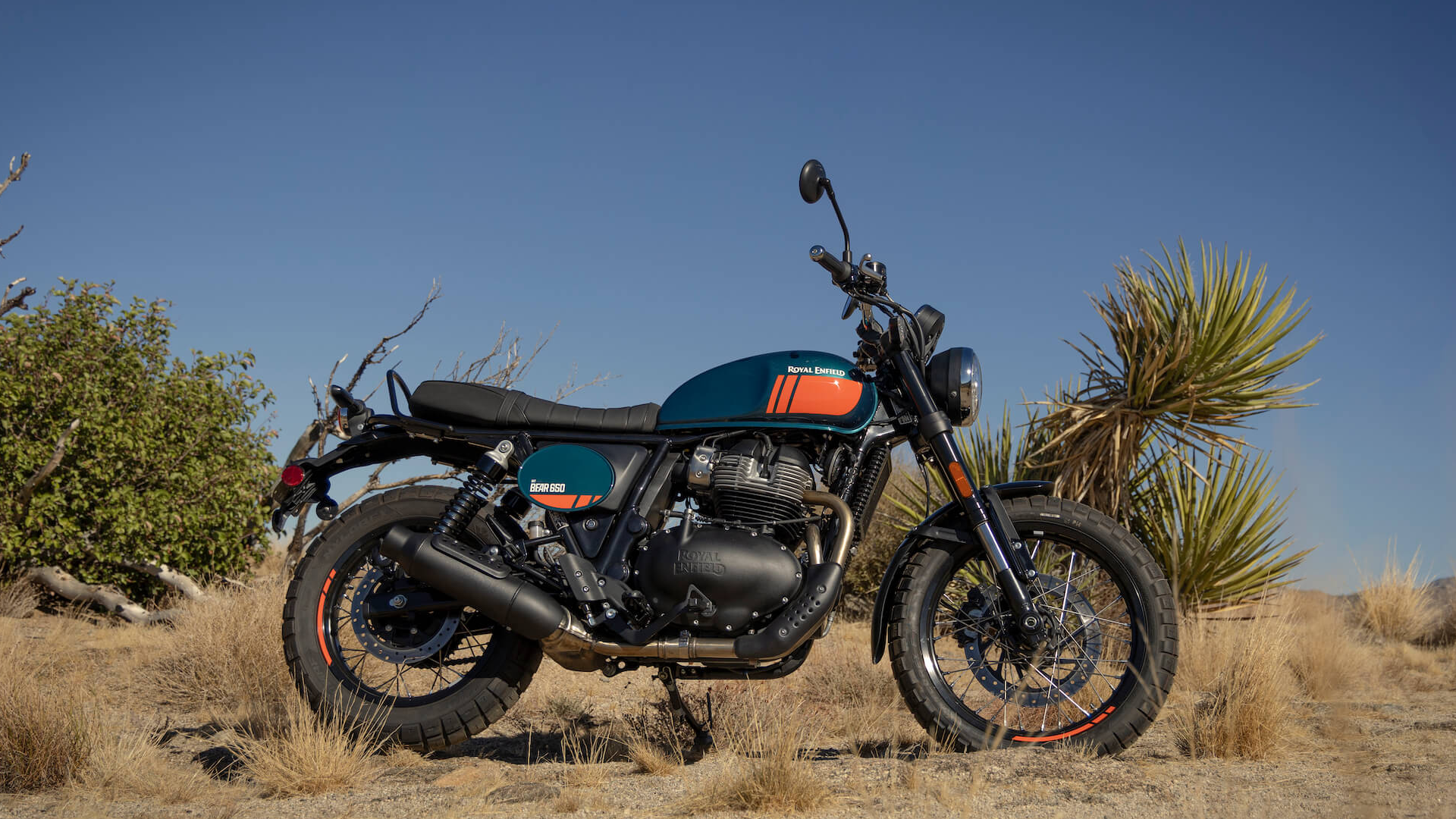 Royal Enfield Bear 650 2026 en action sur piste