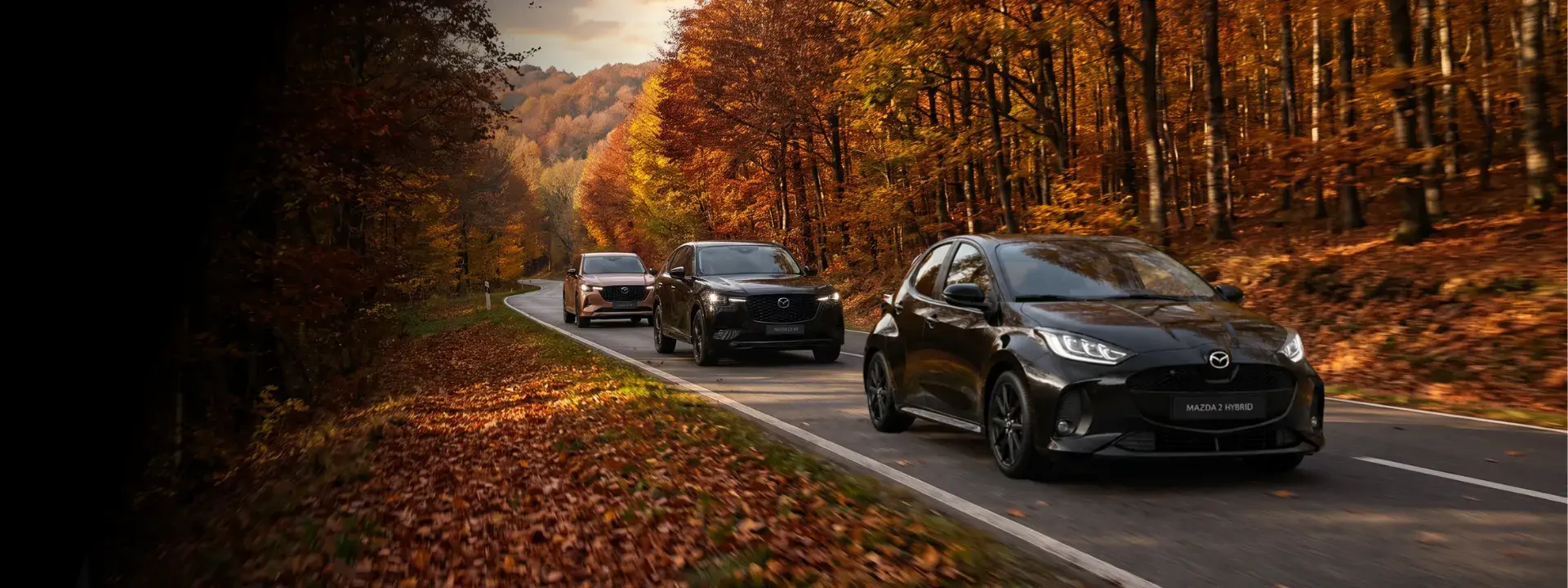 Bonus d'automne