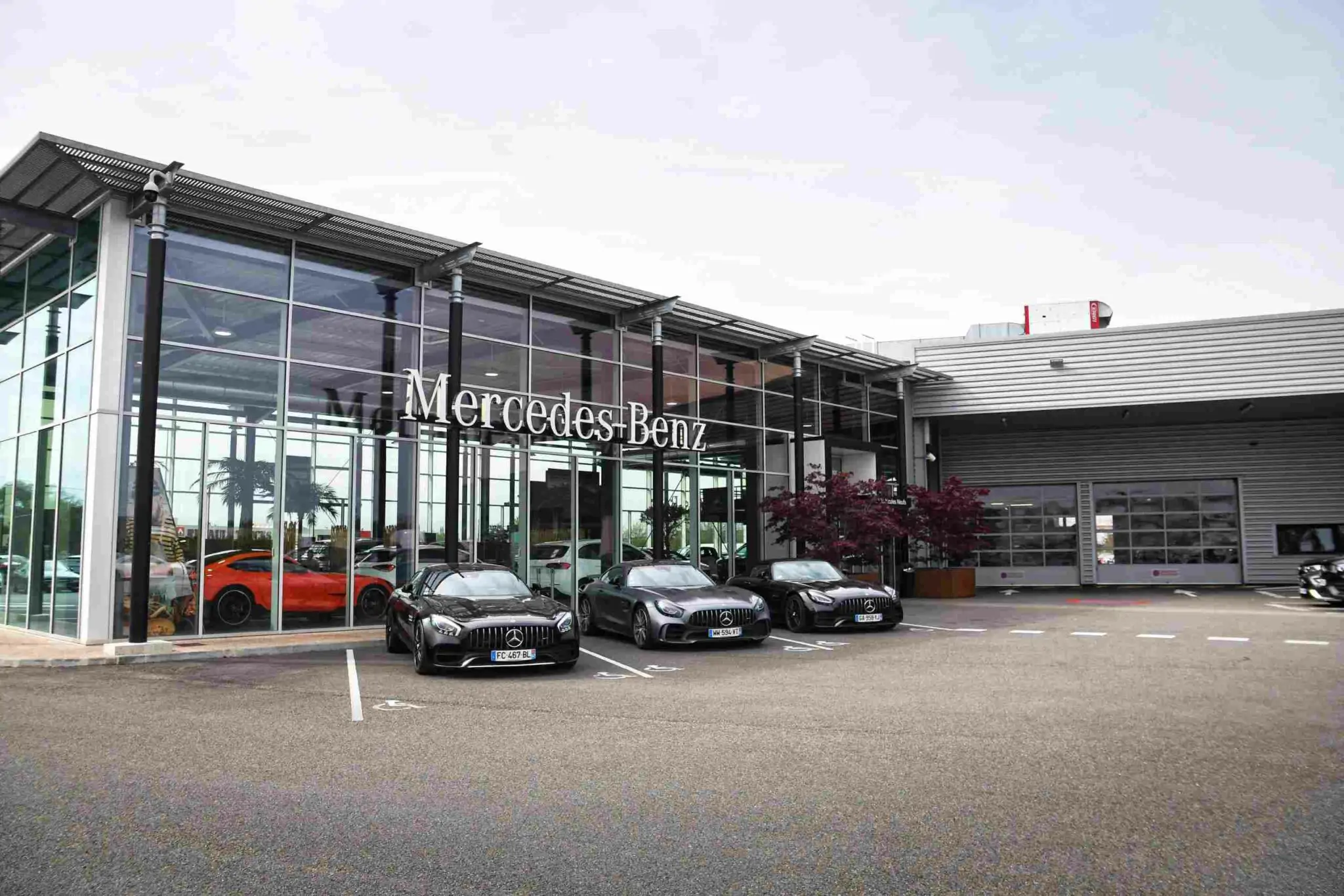 Hamecher Montauban