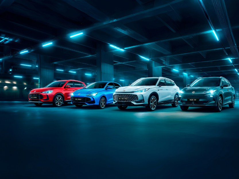 Grand déstockage MG