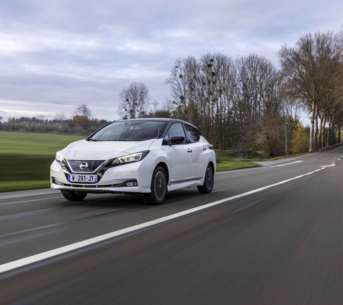 Nissan LEAF Chevalley - motorisation