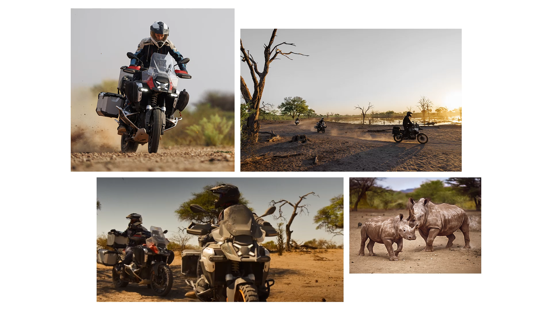 BMW R 1300 GS Adventure sur piste tout-terrain, vue dynamique