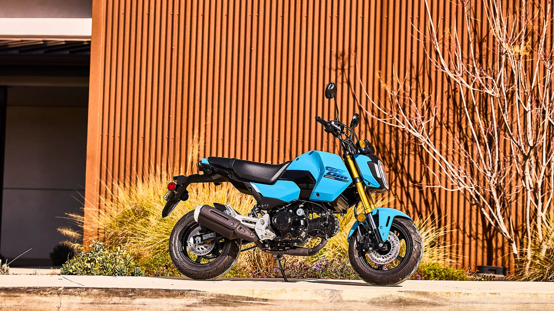 Honda MSX125 Grom vue de profil, design urbain et compact