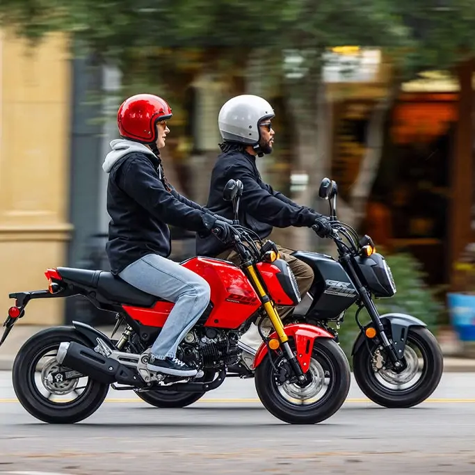 Vue arrière de la Honda MSX125 Grom montrant le design du feu