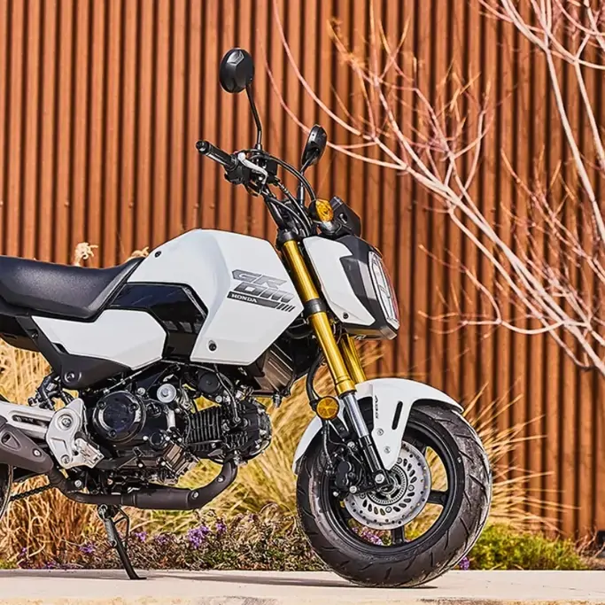 Gros plan sur la selle confortable de la Honda MSX125 Grom